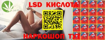 гидропоника Краснокаменск
