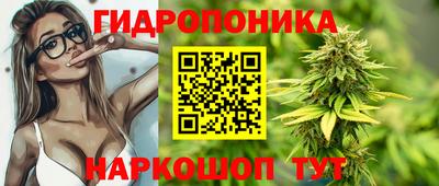 гидропоника Краснокаменск