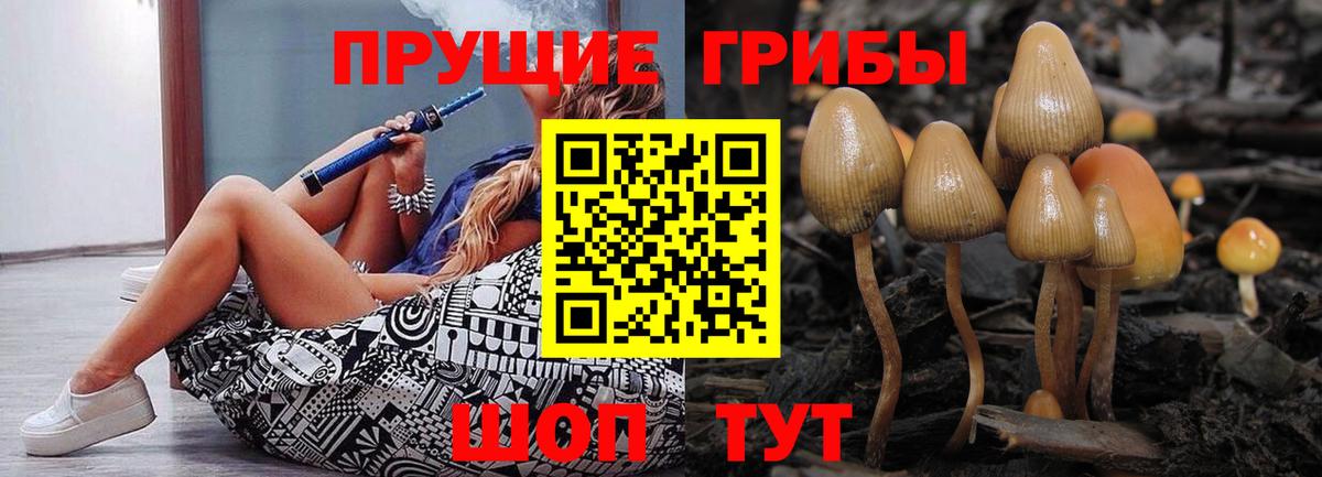 купить закладку  Псилоцибиновые грибы ЛСД  Псилоцибиновые грибы мицелий  Вход с VPN  Когалым 